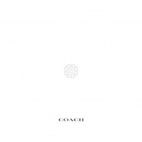 Large Product Preview Image 8